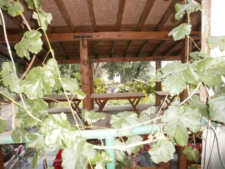 Хотел Механа Воденицата Kurlanovo Bagian luar foto